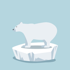 Polar bear  on ice floe