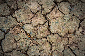 Wallpaper, cracked soil