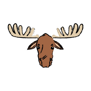 moose extant species antler, elk animal wild image