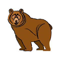 cartoon bear character wildlife animal carnivore