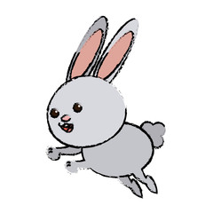 cute rabbit cartoon sweet animal funny