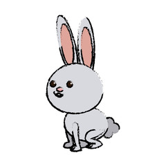 Fototapeta na wymiar cute rabbit cartoon sweet animal funny