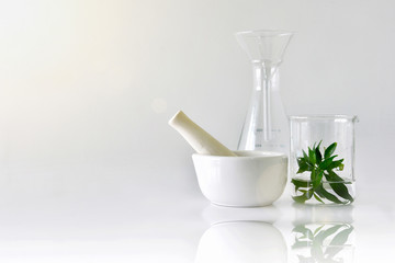 Natural organic botany and scientific glassware, Research and development concept. - obrazy, fototapety, plakaty