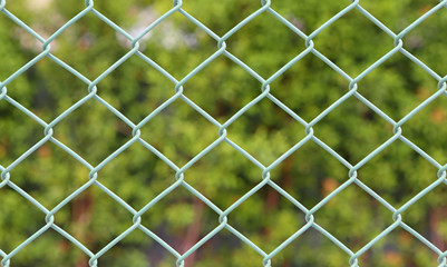 Fototapeta premium Green metal grille fence and defocused nature background.