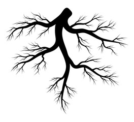 root silhouette vector symbol icon design.