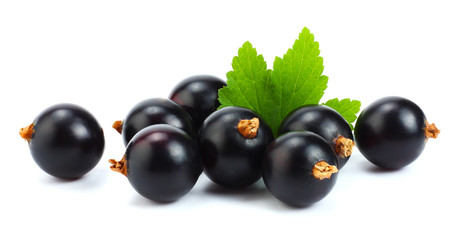 black currant with green leaf isolated on white background
