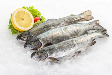 Raw fresh rainbow trout placed on ice