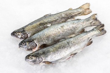 Raw fresh rainbow trout placed on ice