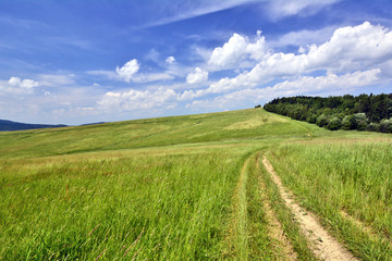 Summer landscape with green grass and clouds.