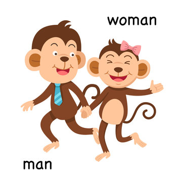 Opposite man and woman illustration