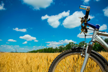 Naklejka premium Mountain bike on yellow wheat field under blue sky with clouds