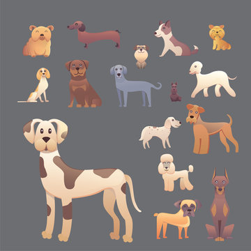Group of purebred dogs. Illustration for dog training courses, breed club landing page and corporate site design