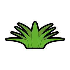 leaves icon over white background colorful design vector illustration