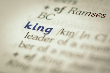 Dictionary definition of word