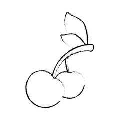 cherry fruit icon over white background vector illustration