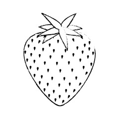 strawberry fruit icon over white background vector illustration