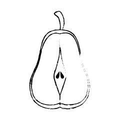 pear fruit icon over white background vector illustration