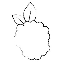 blackberry fruit icon over white background vector illustration