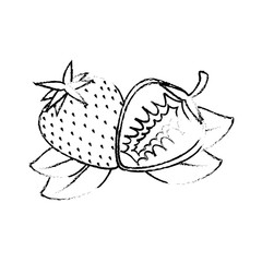 strawberry fruit icon over white background vector illustration