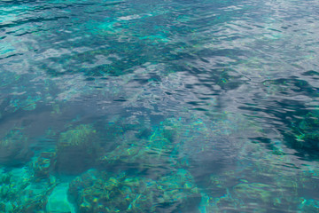 Fototapeta na wymiar Blue sea and coral