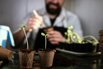 gardener hand sprout table