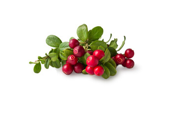 Wild Cowberry with leaves 