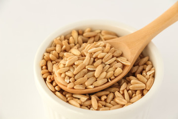 Oats　えん麦、オーツ麦、からす麦