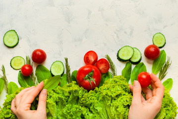 Lettuce leaves, cherry tomatoes and cucumber on white background.