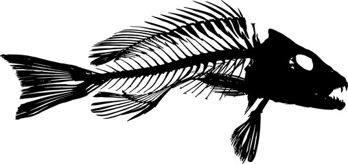 Gray Mangrove Snapper Fish Silhouette