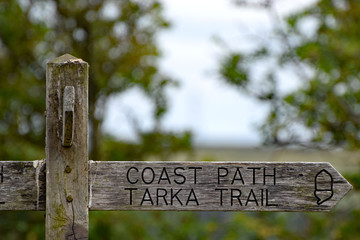 Tarka Trail and Coast Path sign 1 - obrazy, fototapety, plakaty