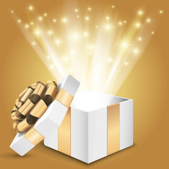 Gift box with shining light Vector