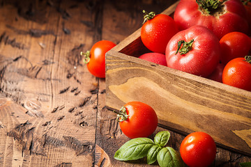 fresh tomatoes in a wooden crate