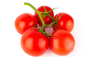 Isolated tomatoes