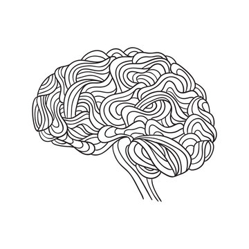 human brain, vector