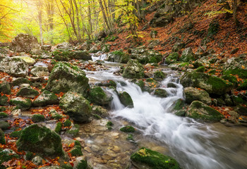 Beautiful autumn landscape with mountain river and colorful trees with green, red, yellow and orange leaves. Mountain forest in Crimea.