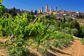 Fototapeta na wymiar Panoramic view of San Gimignano in Tuscany, Italy