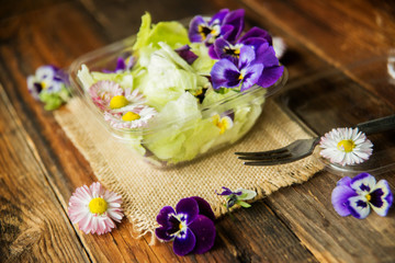 Fototapeta na wymiar Spring salad with radishes, edible flower and sauce, selective focus