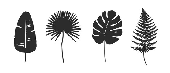 Set of Trendy Tropical Leaves. Vector. Silhouette