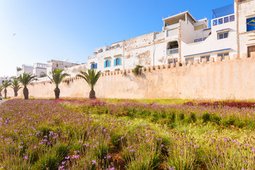 medina wall views at essaouira maritime town