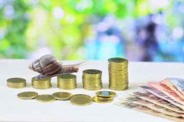 A snail crawling on a schedule of coins on abstact nature background - Banking concept