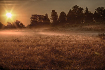 Fototapeta premium sunrise over a meadow on a farm