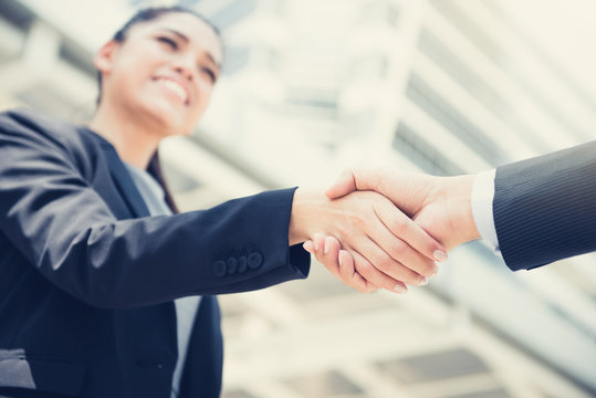Businesswoman making handshake with a businessman