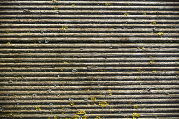 old furrowed woody background