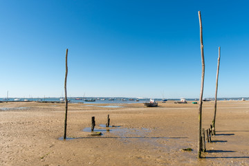 BASSIN D'ARCACHON (France), vue sur la dune du Pyla