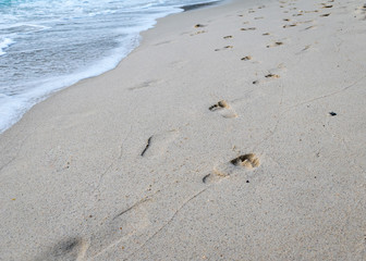 Footmark on the Sand on Beach