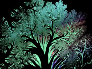 Fractal tree on a black background © matma