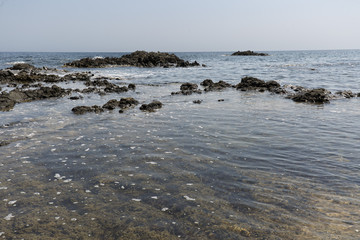 Landscape in summer in Tabarca Island.