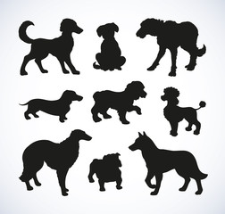 Vector outline drawing. Purebred dogs and mongrels