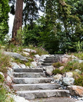 Carved Stone Steps Into Forest