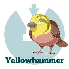 ABC Cartoon Yellowhammer
